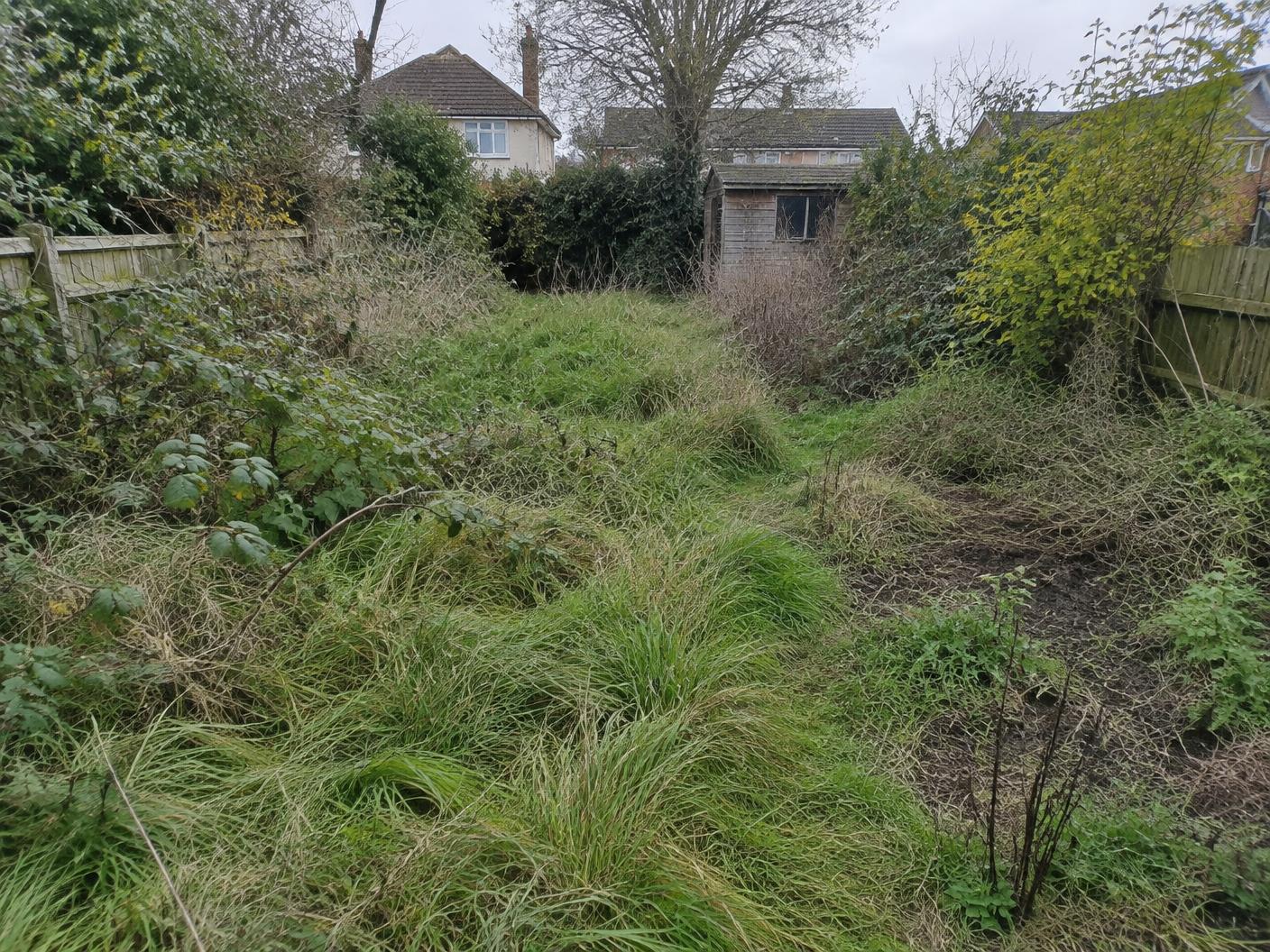 Before: an overgrown, neglected garden with long grass and tangled weeds